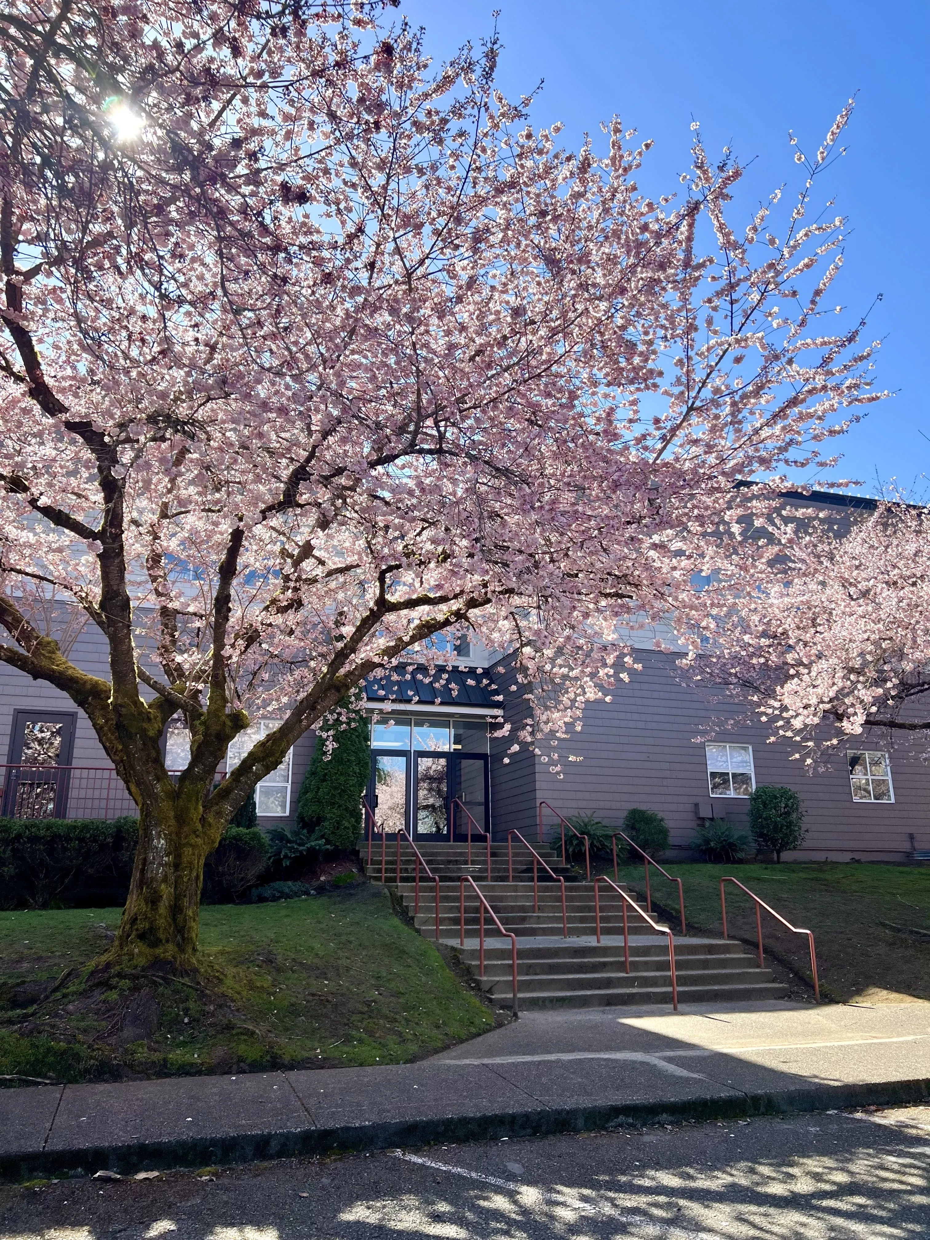 Acton Academy Eastside campus building in spring bloom